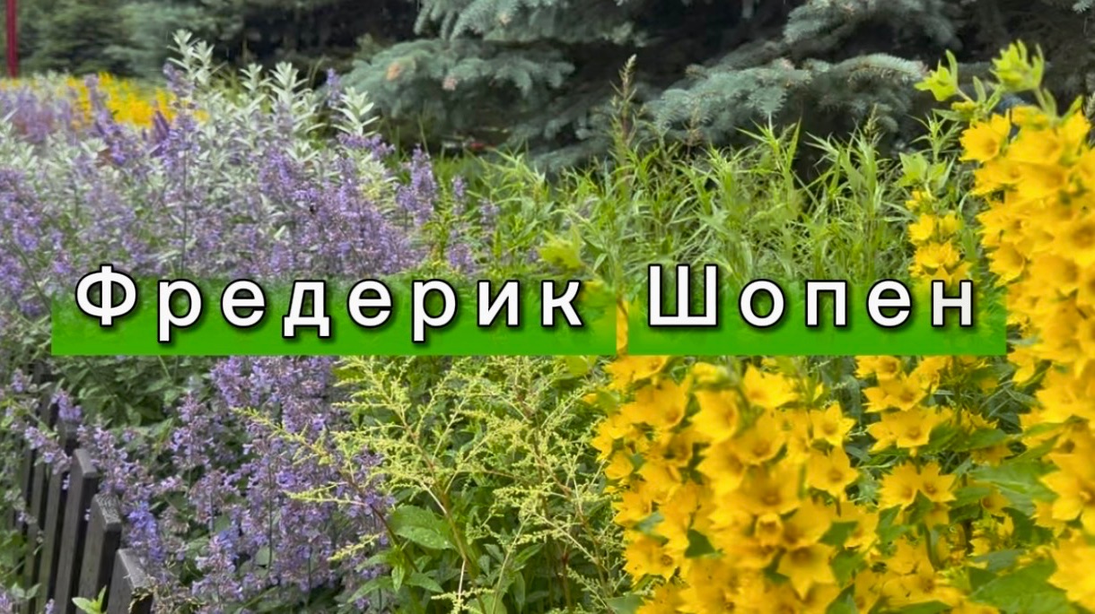 Фредерик Шопен, ноктюрн, классическая музыка