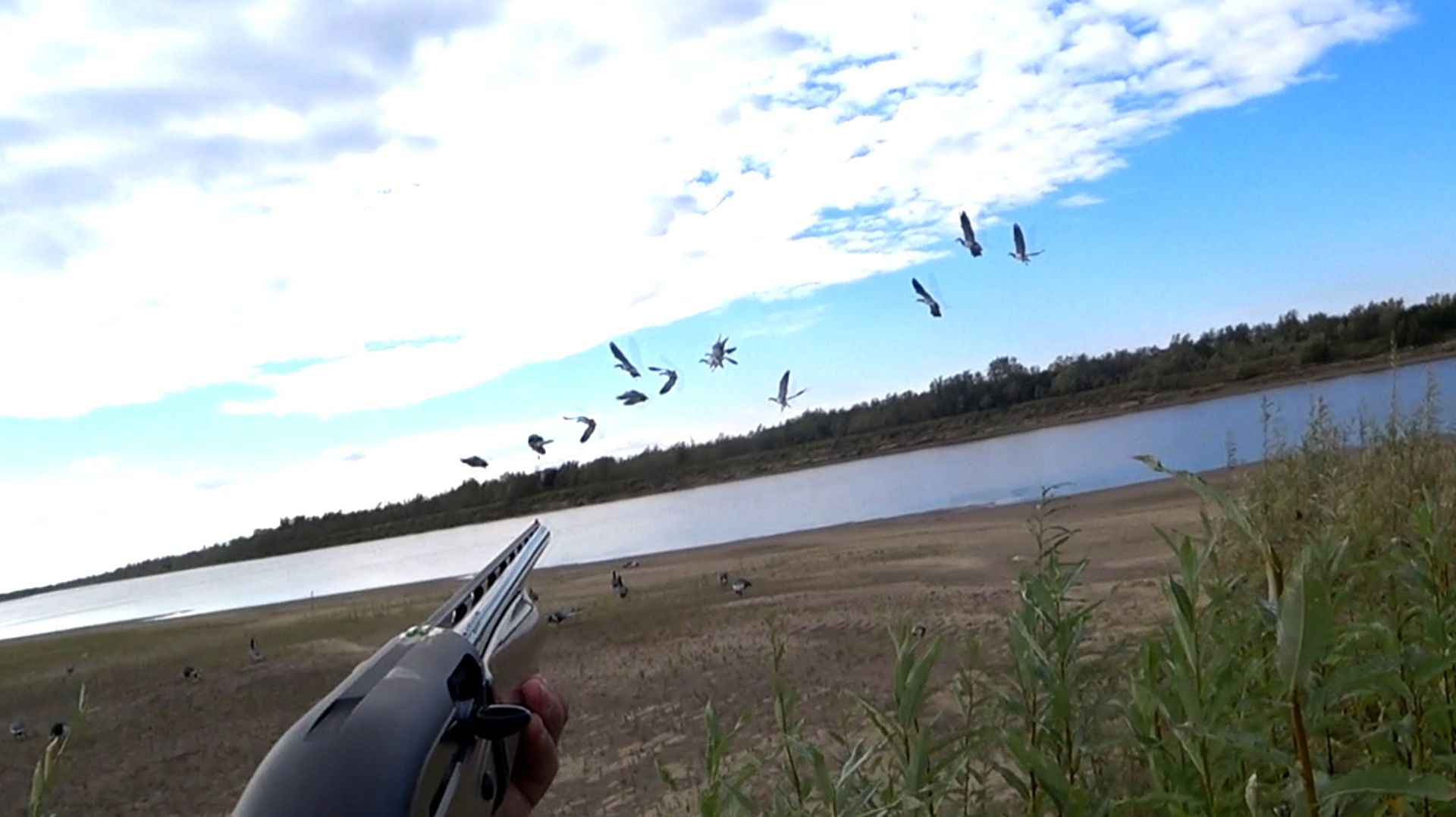 Охота на гуся. Открытие охоты ОСЕНЬ 2026. Goose Hunting