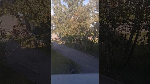 VID_20260909_103502