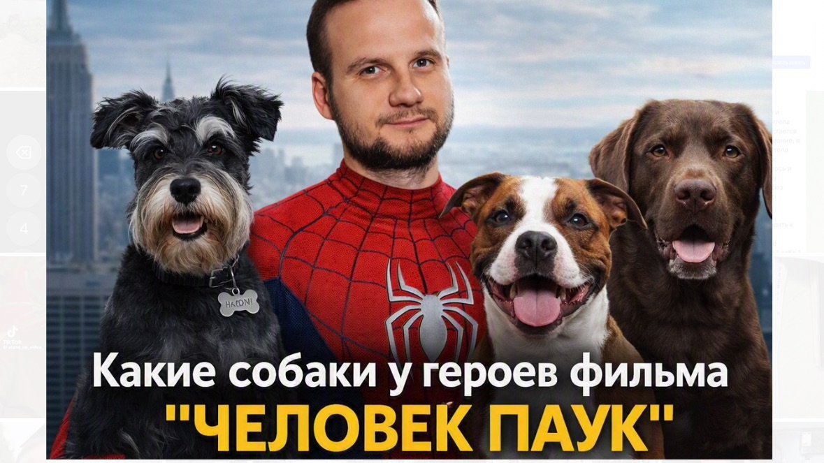 Собаки героев из фильма «Человек паук»