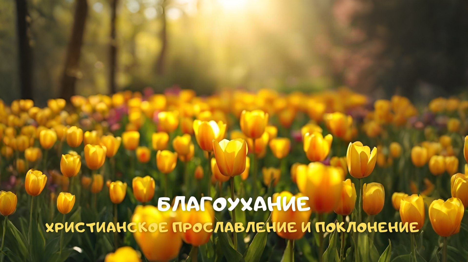 Благоухание. Христианское прославление и поклонение