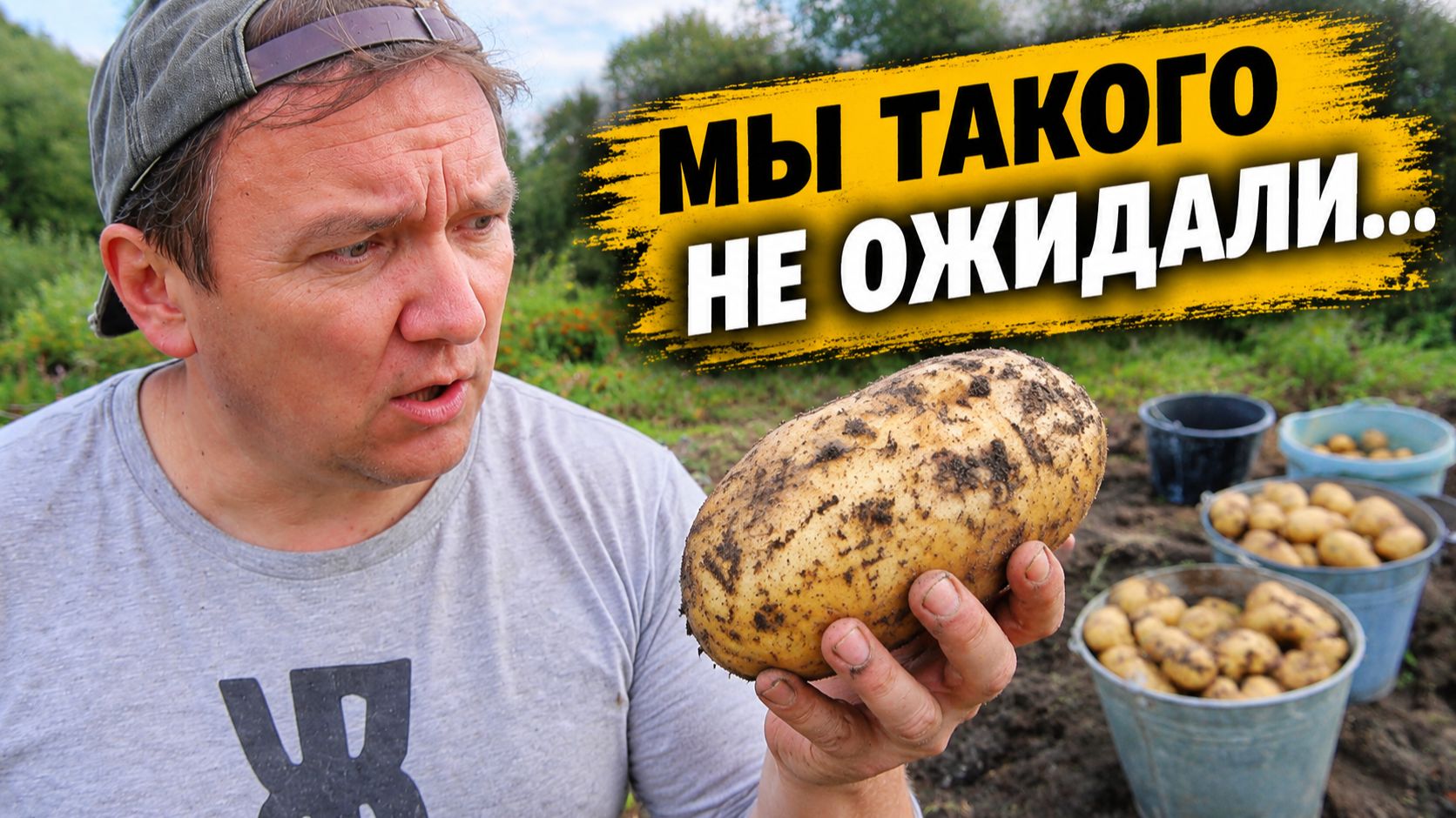 САД и ОГОРОД