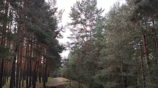 Стоит ли стараться понравиться руководству?