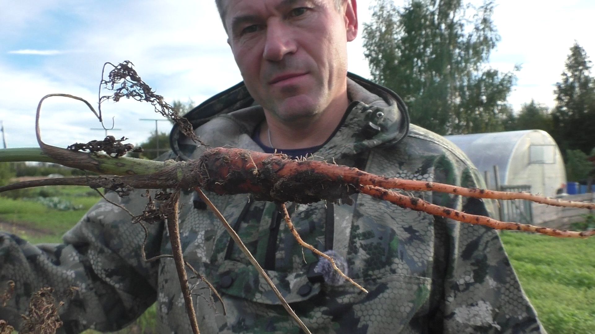 ОГОРОДНЫЕ ДЕЛА: УБРАЛИ МОРКОВЬ 🥕 И НАШЛИ ГРИБЫ 🍄