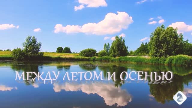 Волшебная гармония природы