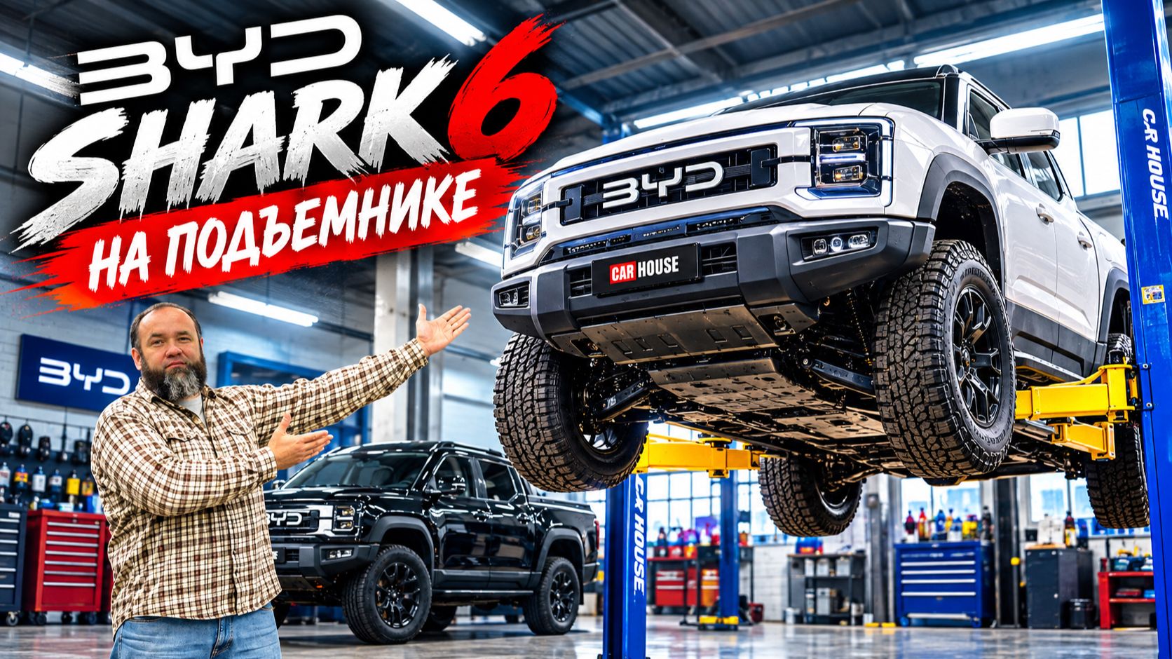 Братья по разному, что общего у byd shark и leopard 5