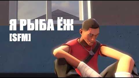 скаут, ты рыба ёж