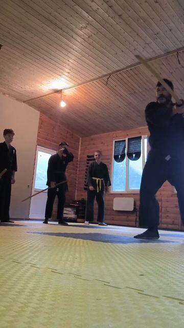АIKIBUDO SEISHINRUY
