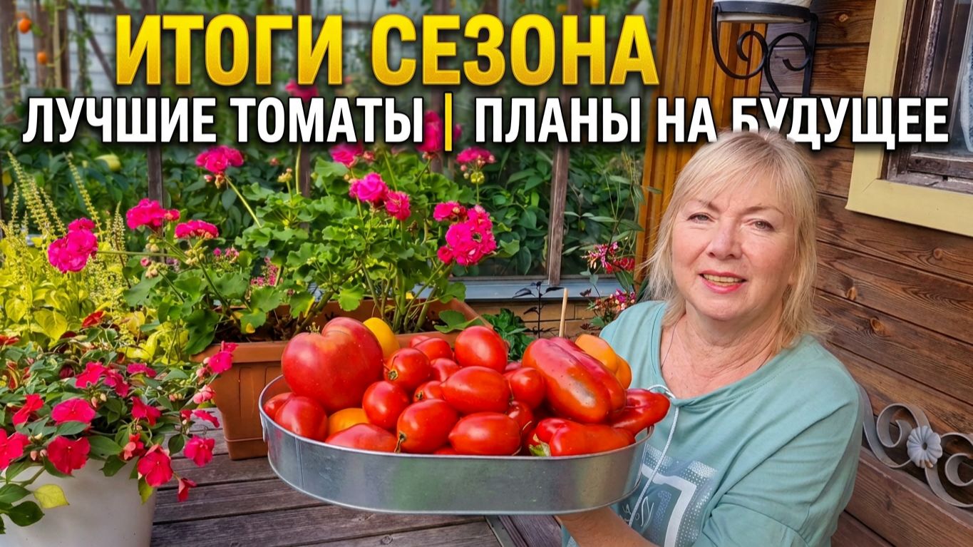 Итоги сезона и планы на будущее Томаты трудяжки - гарантированный урожай и сорта разочарование