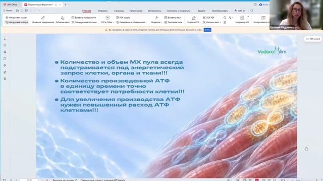 Водорослим