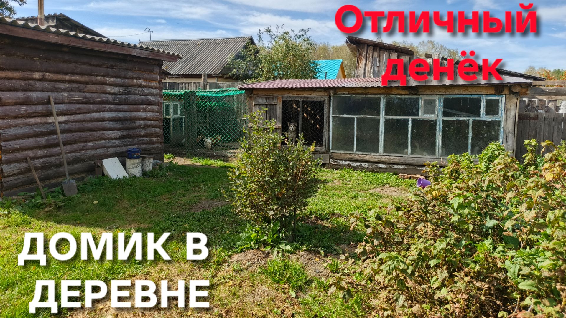 Деревенские будни Зола для кур-несушек Уткам зерно Навожу порядок в огороде