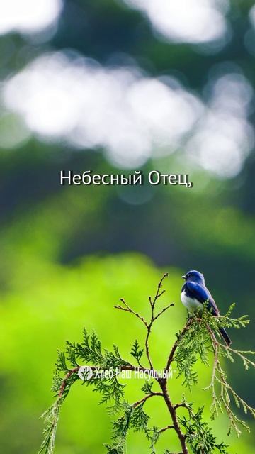 Божье Слово для вас