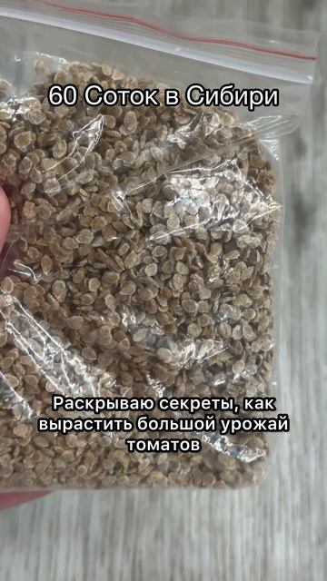 Раскрываю секреты большого урожая томатов!