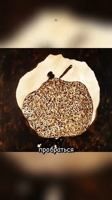 ⏱️ Кино без лишних слов. Только суть.