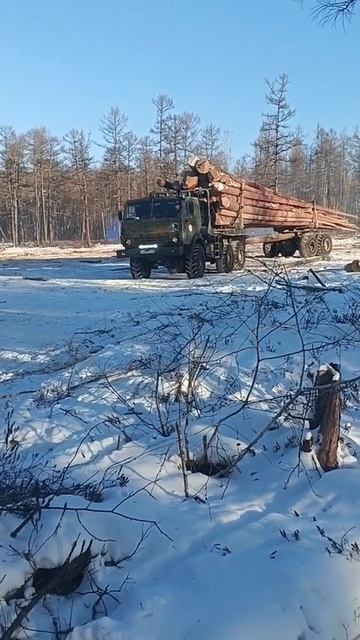 КамАЗ с Хлыстами