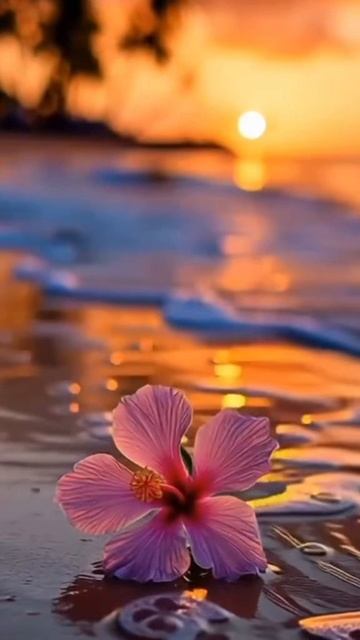 Guten Morgen 🌞 Sonnen scheint 💕#guten #morgen #sonne #scheint #musik