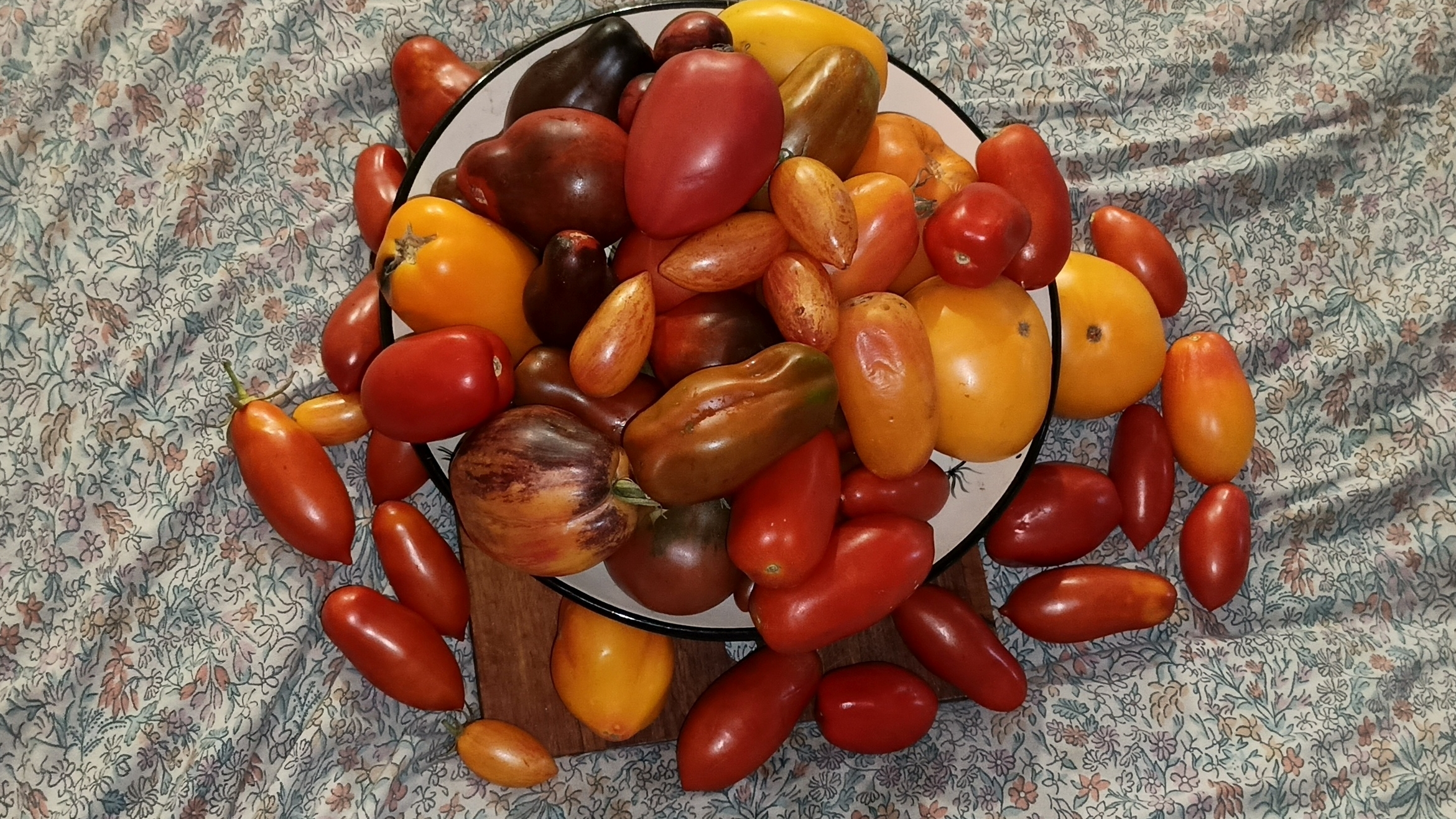 Эти томаты покорили моё сердце и вкусовые рецепторы.Новинки сезона 2026