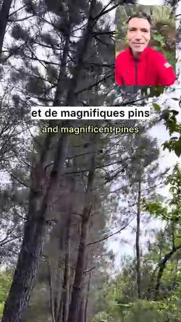 Français