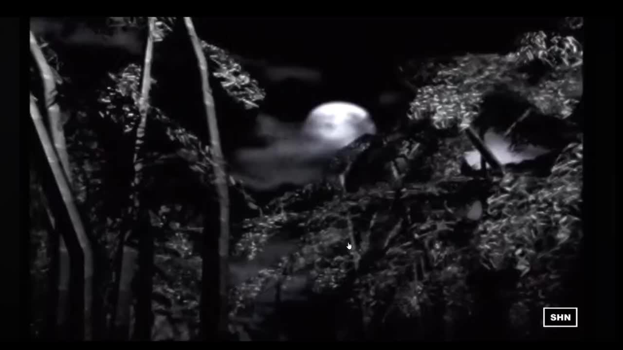 FATAL FRAME II Crimson Butterfly REMAKE FATAL FRAME 5 MAIDEN OF BLACK WATER