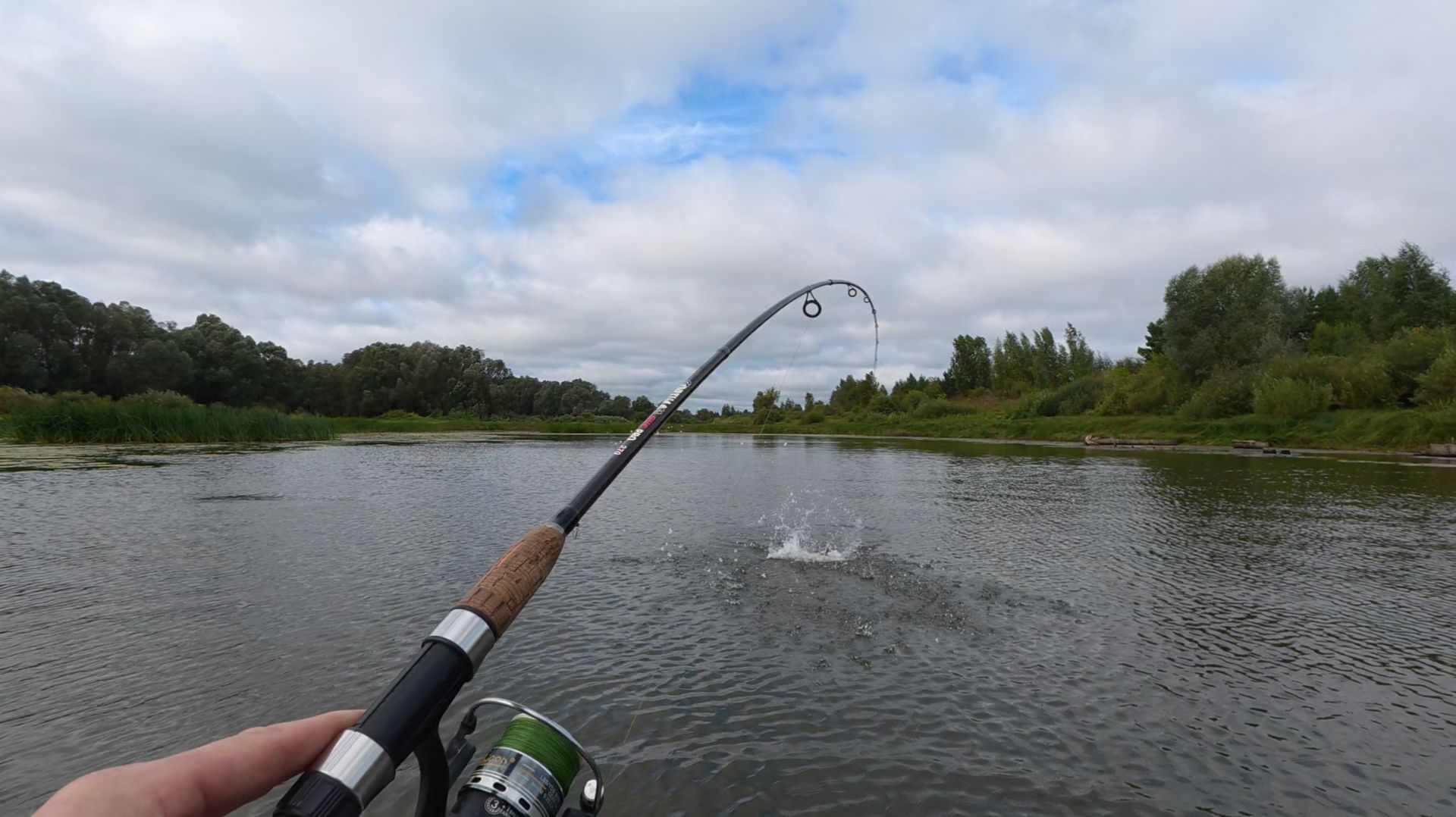 НАЛОВИЛ ЩУК НА СПИННИНГ 🎣 А ГРИБЫ 🍄 РАСТУТ ПРЯМО ПОД НОГАМИ!