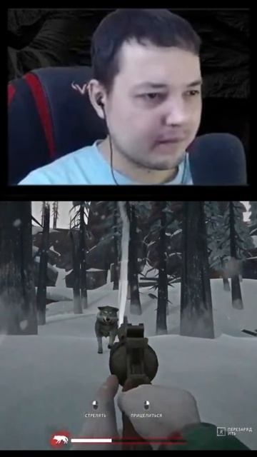 Я ЖЕ ГОВОРЮ ЛОСЬ ОПАСЕН 🫎 ПОРВАЛ ОДЕЖДУ #DeadLik #TheLongDark #Фейл #Смешно #Стрим #Нарезка #Игры