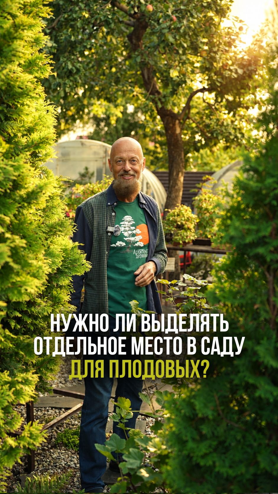 Нужно ли выделять отдельное место в саду  для плодовых?