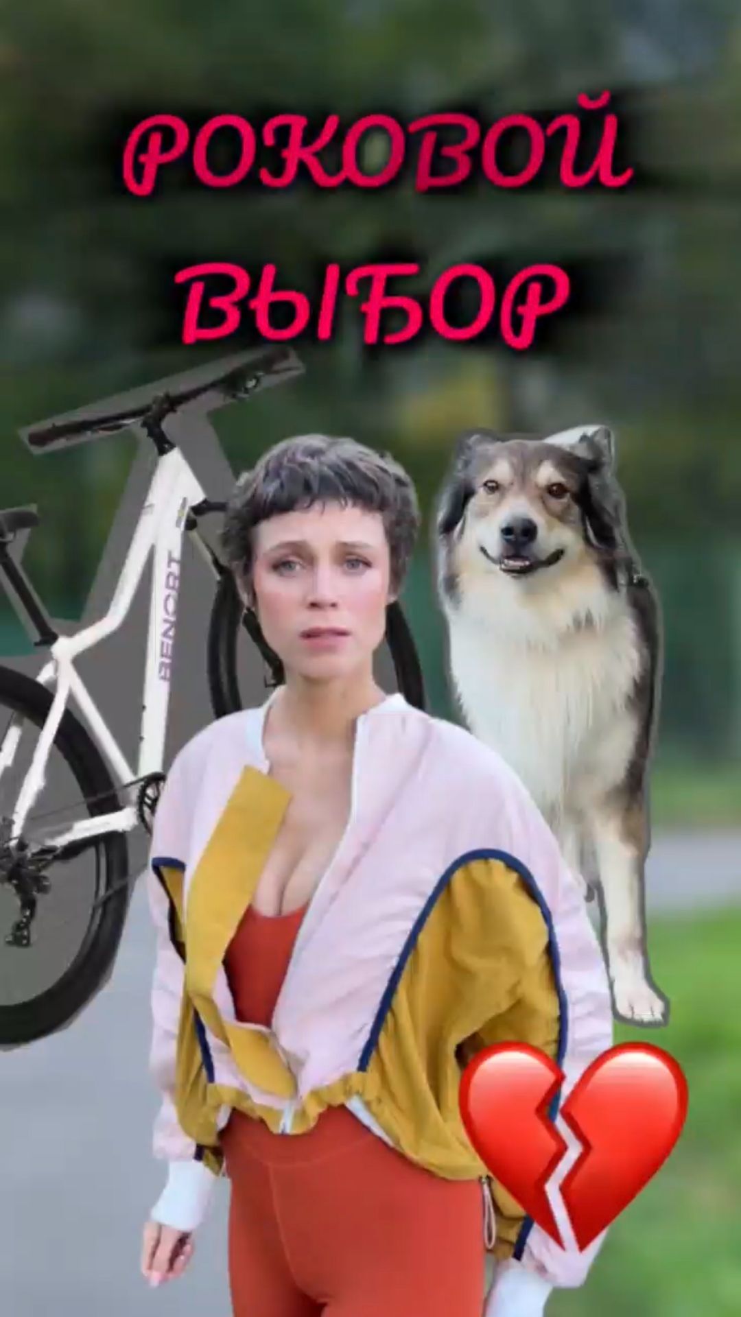 Роковой выбор 💔  Посвящается всем, у кого есть хвостатые друзья