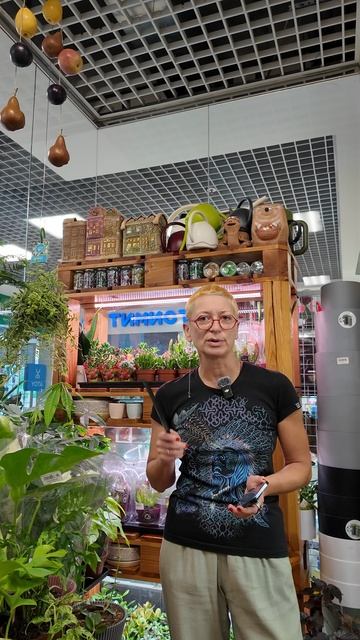 Растения не выше 30 сантиметров - для небольшой квартиры.