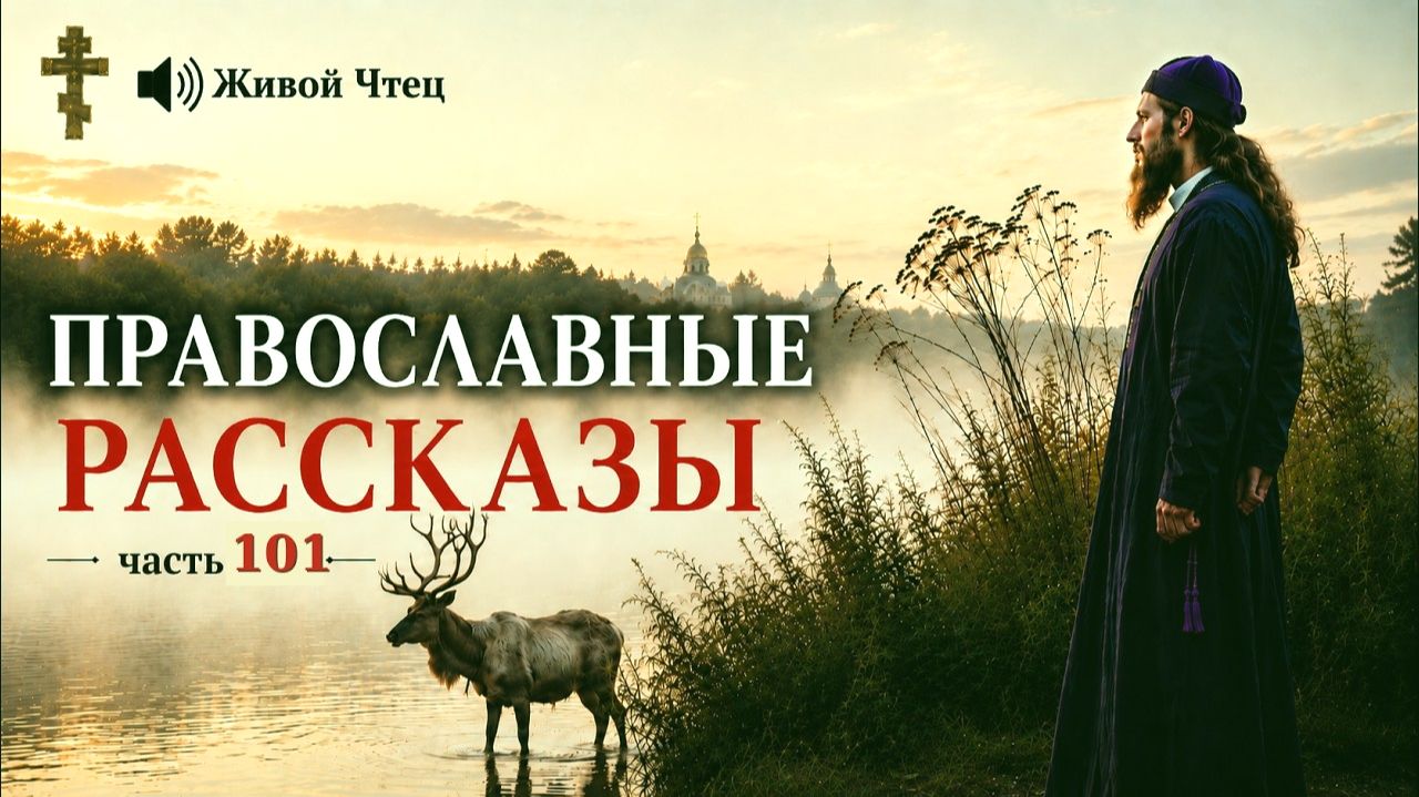 КРЕСТИК, КОТОРЫЙ ОТЕЦ ЗАПРЕТИЛ НОСИТЬ часть 101