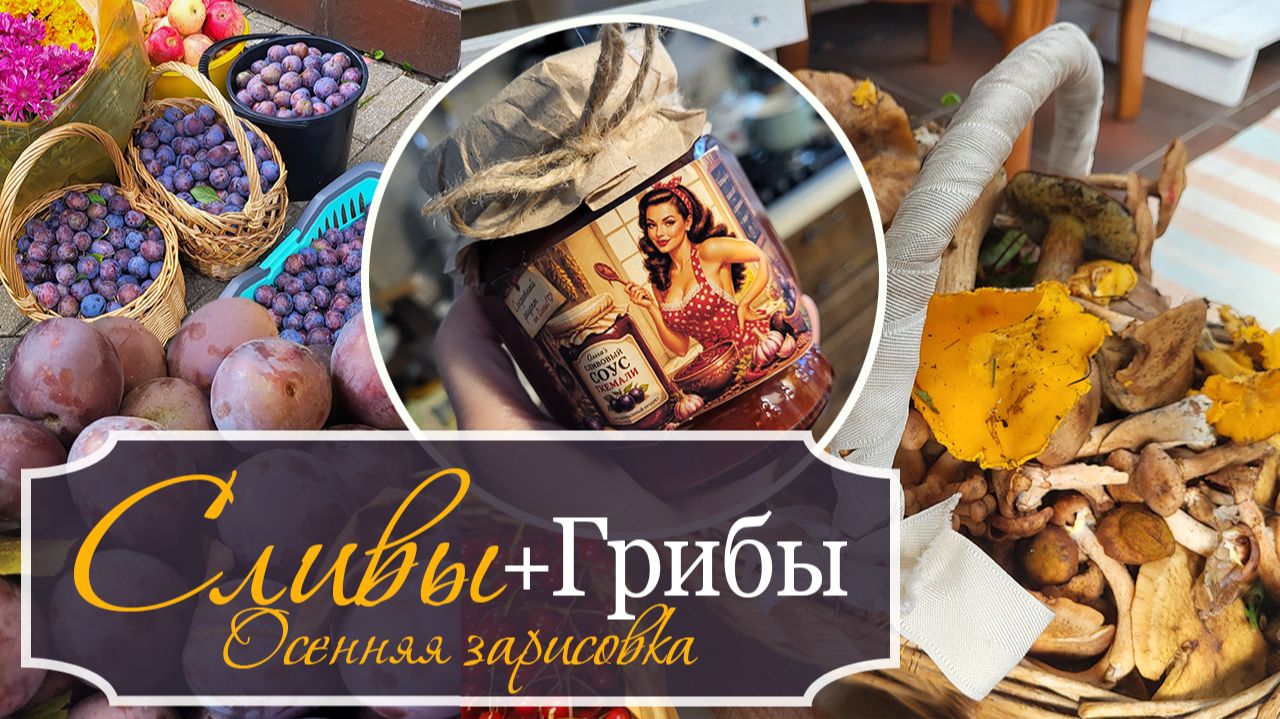 🍁Осенние дневники: Сливовый ПОДАРОК - Закатки из слив - Корзина ГРИБОВ и КАЛИНЫ - Осенняя зарисовка