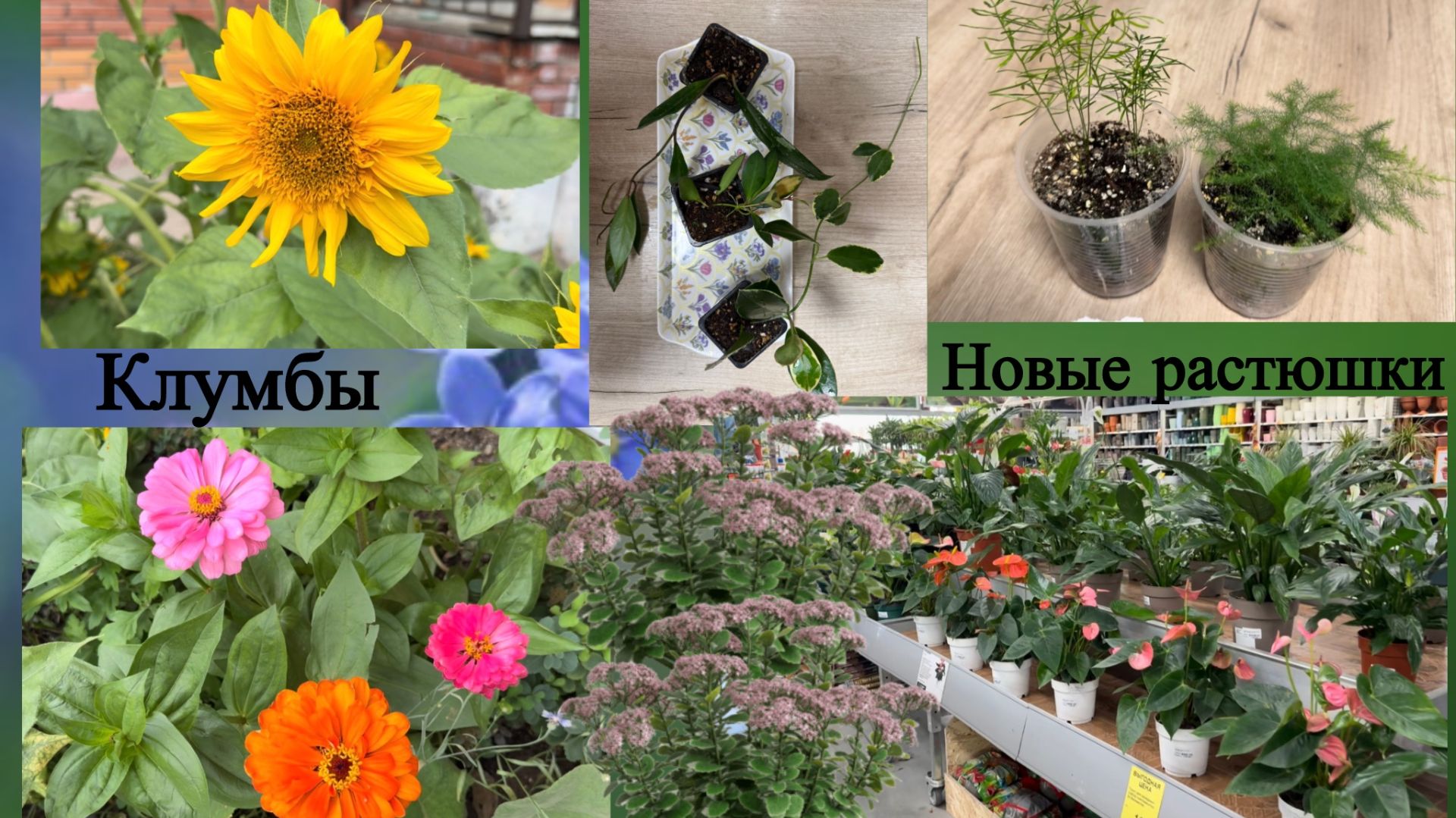 Интуитивный садовод 🍀
