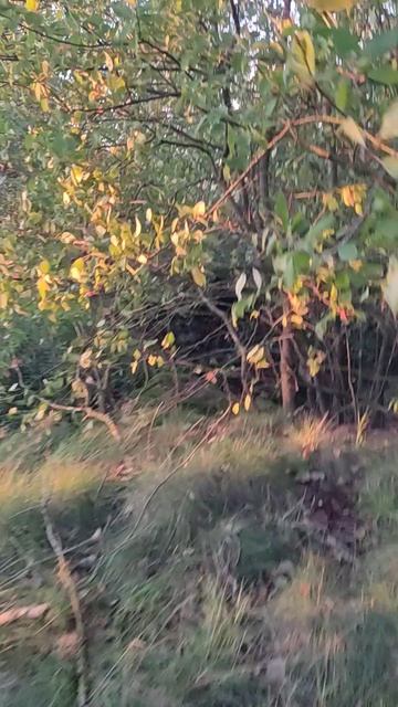 Гродненская крепость