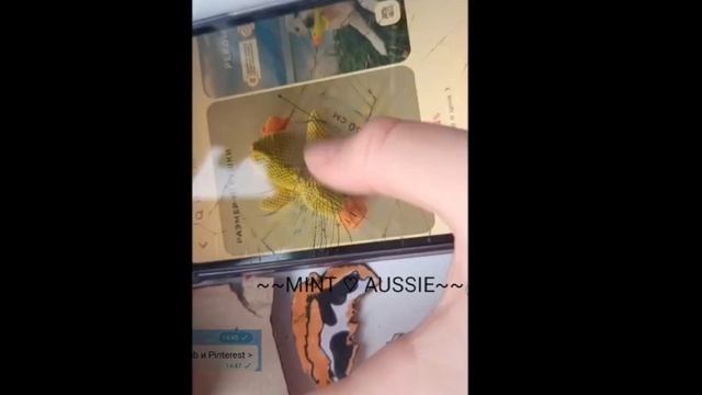//MINT AUSSIE\\ Так просто ностальгия в глаз попала ....