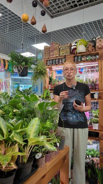 Растение сушит листья как понять причину: недолив или перелив?