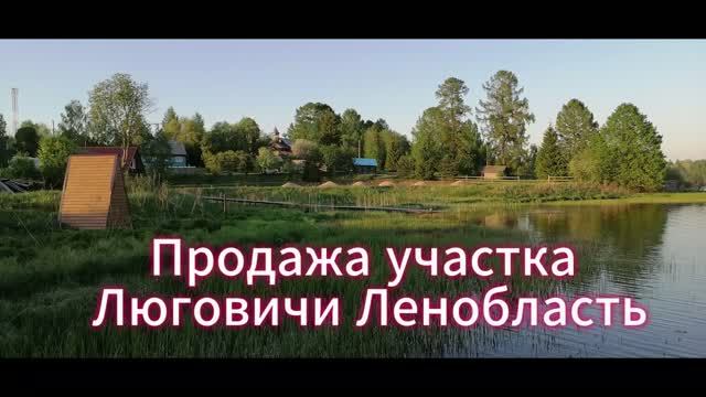 Продажа участка 12,5 соток в д.Люговичи Лодейнопольский р-н Ленобласти