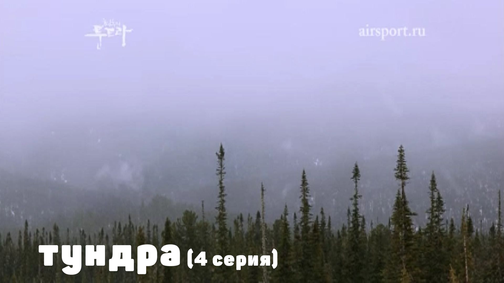 Паралеты и парамоторы