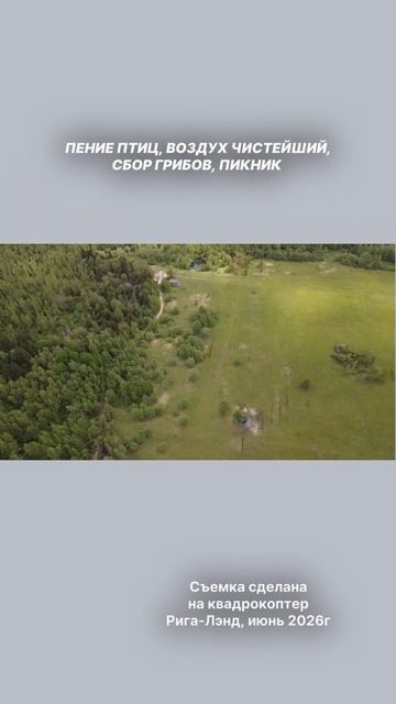 Рига-Лэнд, жизнь в окружении леса