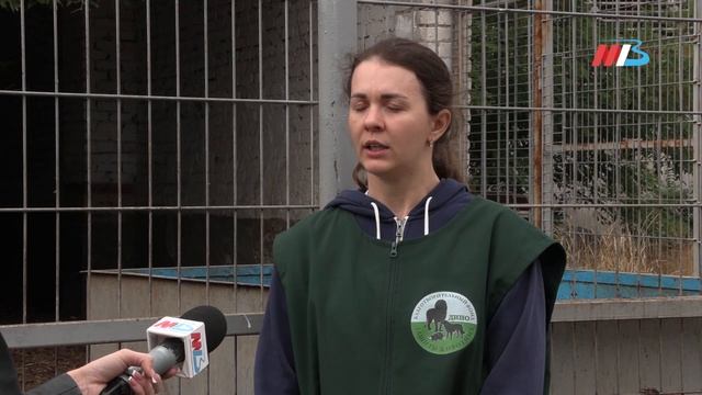ДАВАЙТЕ ЖИТЬ ДРУЖНО