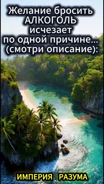 Желание бросить АЛКОГОЛЬ исчезает по одной причине... (смотри описание):