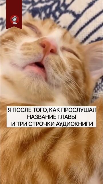 Признайтесь, за какой книгой вы уснули?