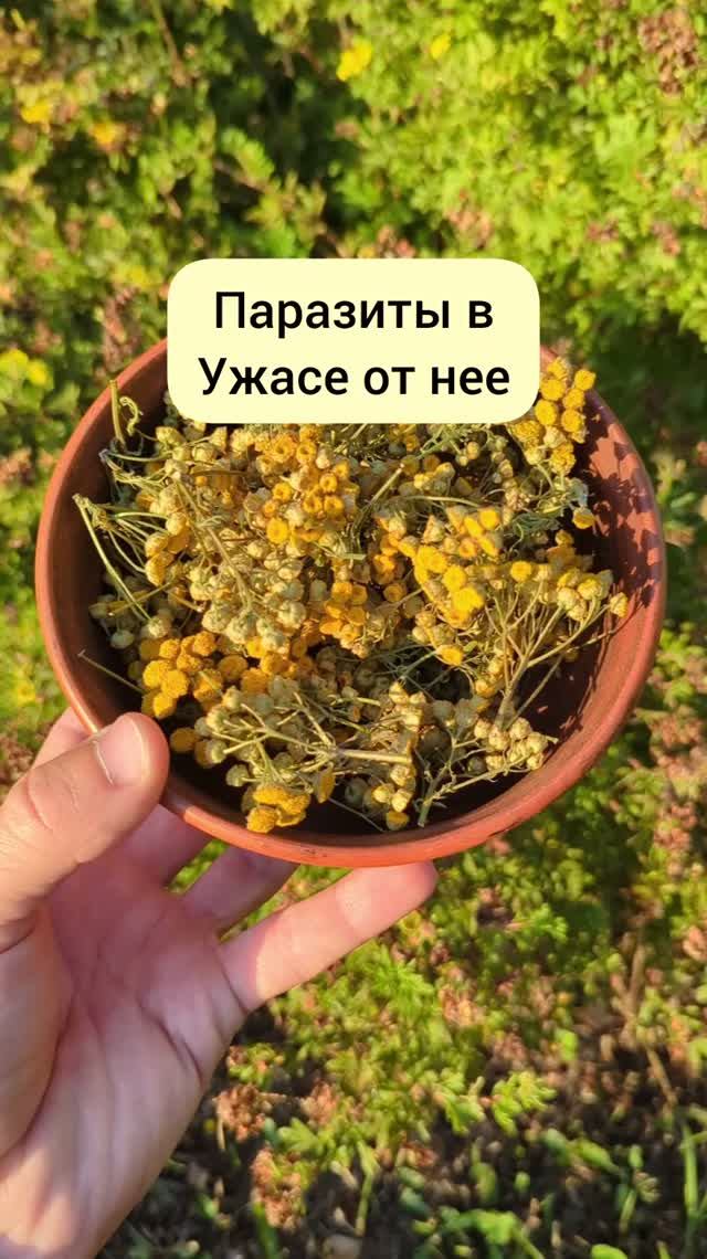 паразиты в ужасе