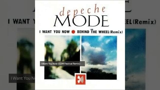 Depeche Mode - I Want You Now (EDM Festival Remix)