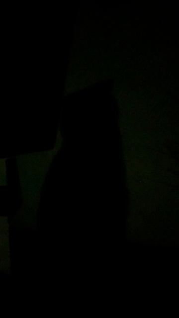 Что за бабайка такая!?😄🐈⬛