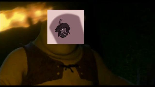 Мои видео