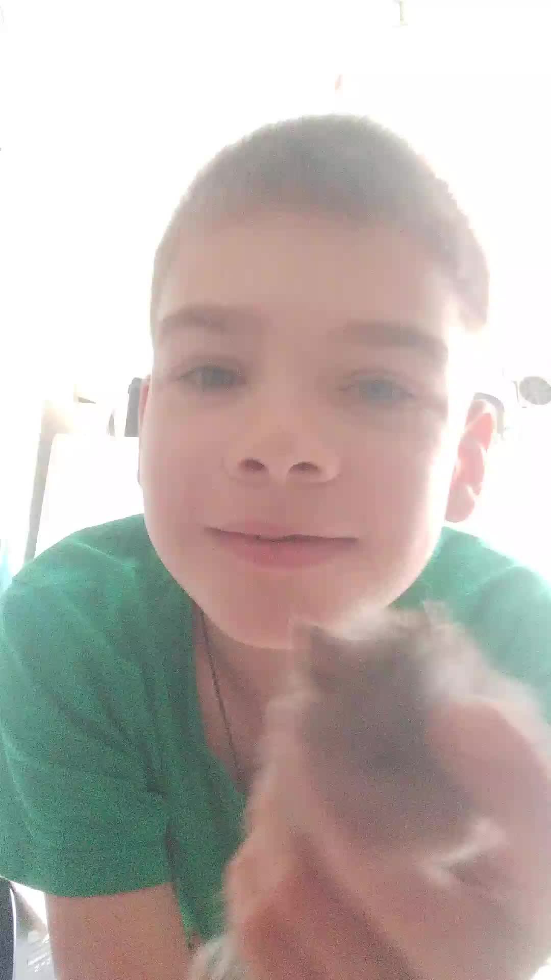 хомяк