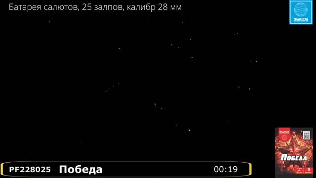 PF228025 Победа