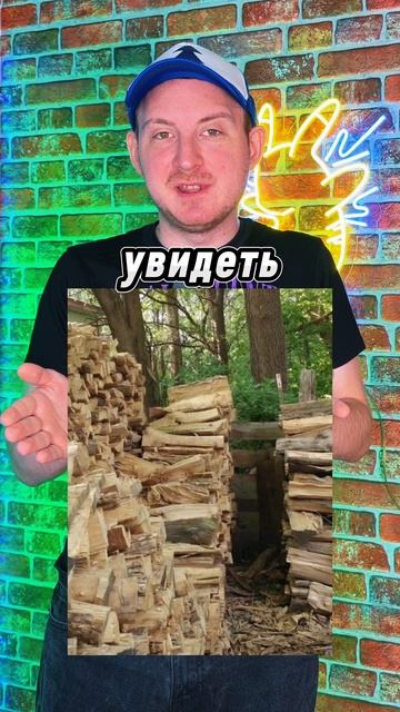 НАЙДИ КОТА