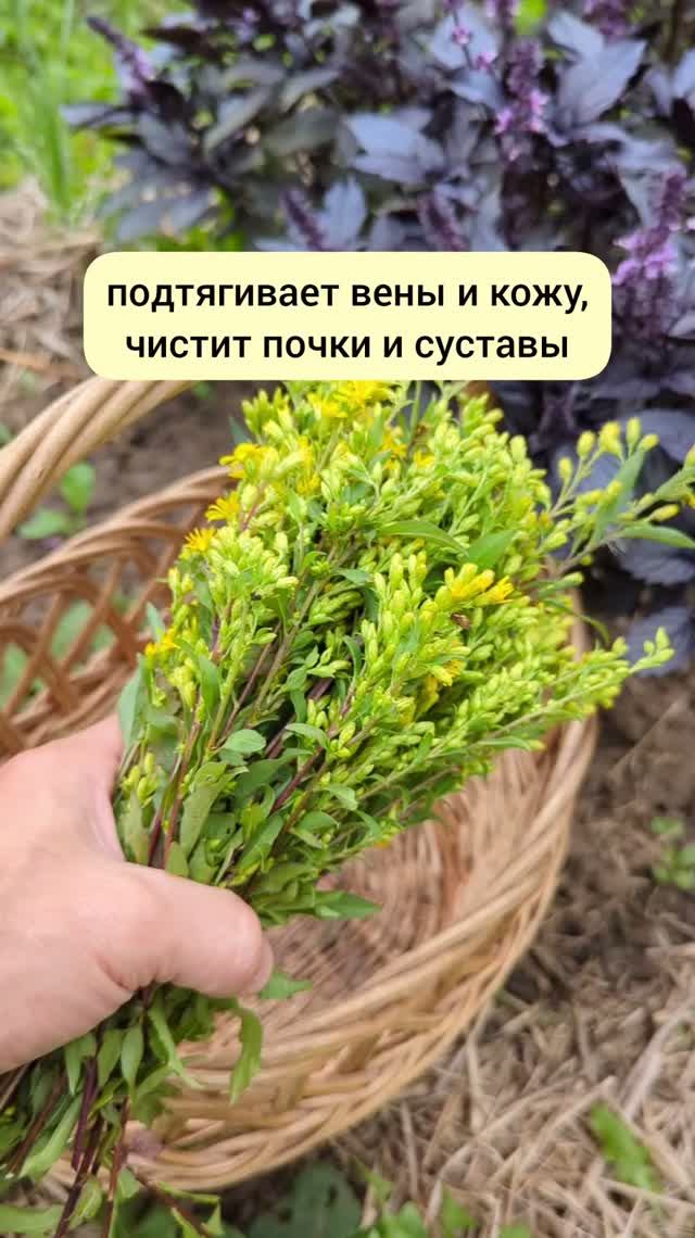 когда все обвисло и скопилось лишнее