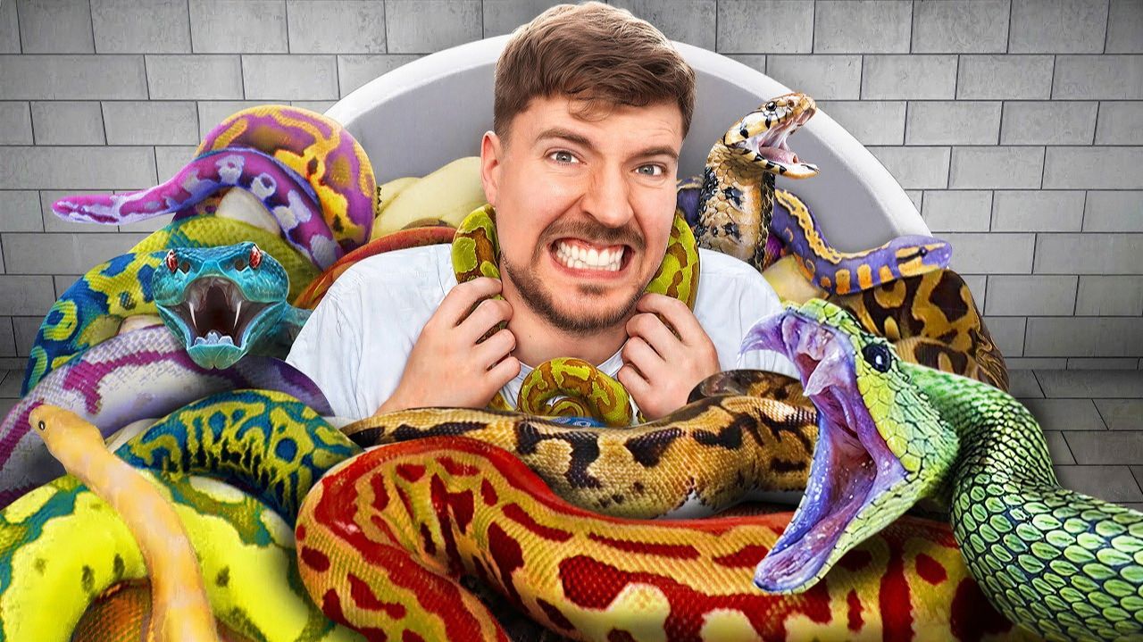 Сел бы ты к змеям за $100,000[MrBeast/Мистер Бист]