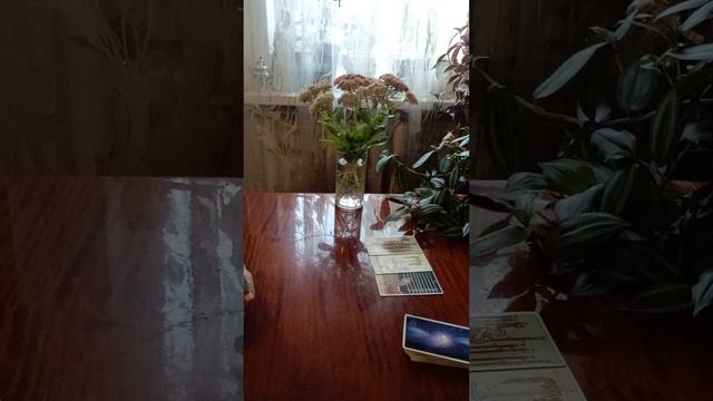 Таро.Пришло время держать ответ.